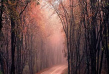 国内足球再掀高潮，球迷热切期待看到精彩比拼