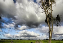 外援表现亮眼，球队大胜对手