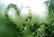 雄心万丈！明星选手夺得金银铜奖牌